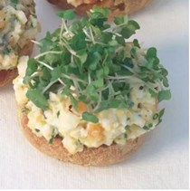 Open-faced egg, chive and spring onion sandwiches