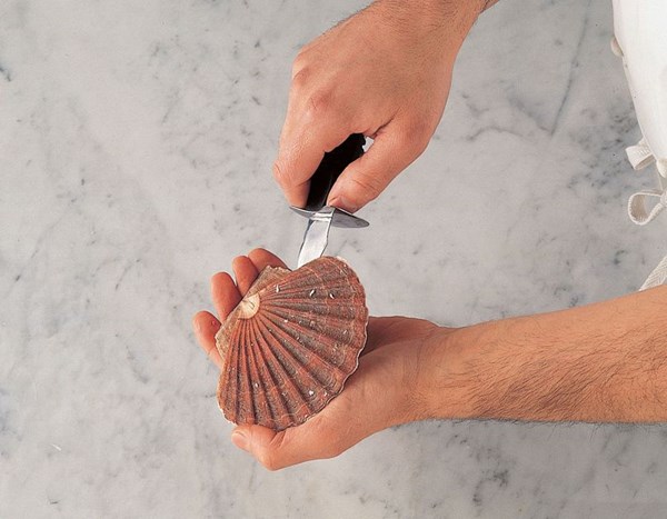 Opening and preparing scallops