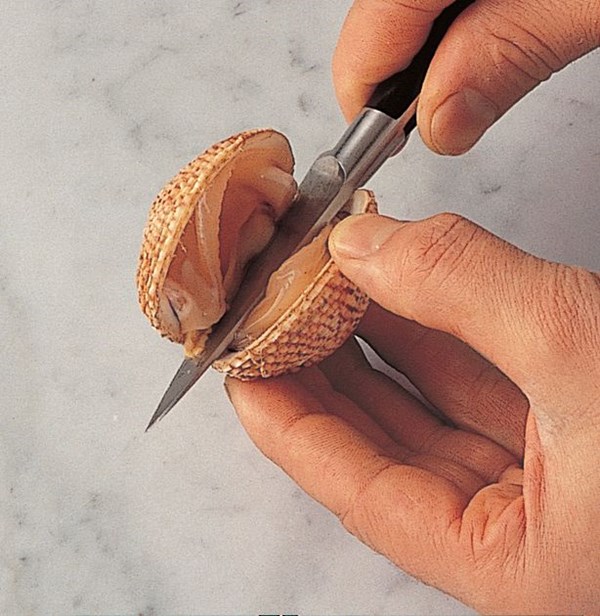 Opening clams