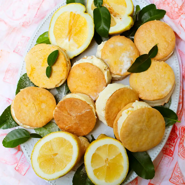 Orange and lemon ice-cream sandwiches