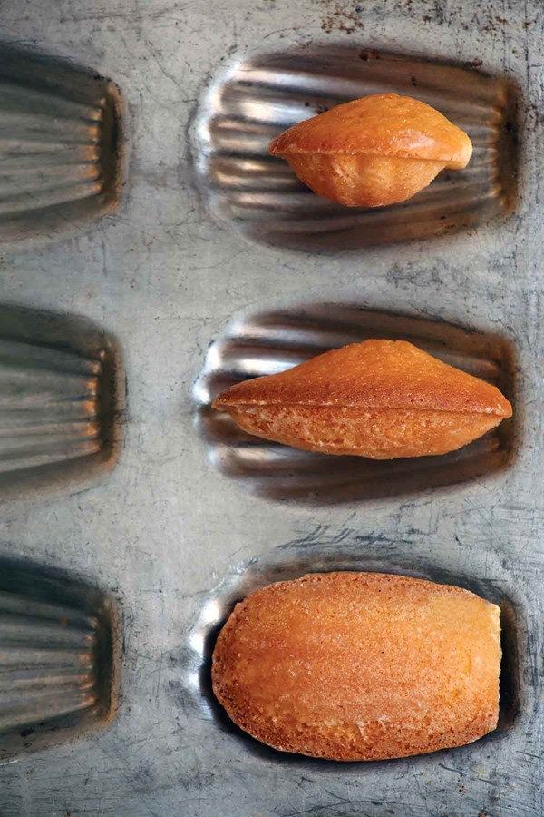 Orange madeleines