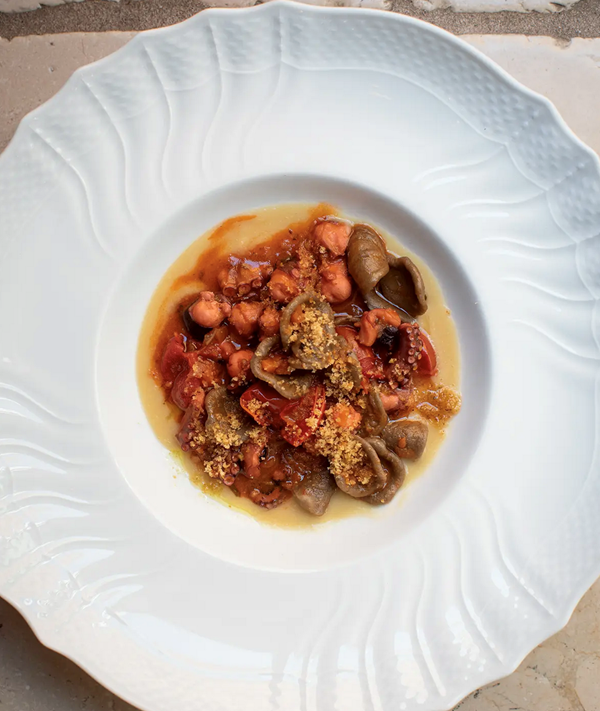 Orecchiette with octopus ragù and chickpea purèe [Stefano D'Onghia]