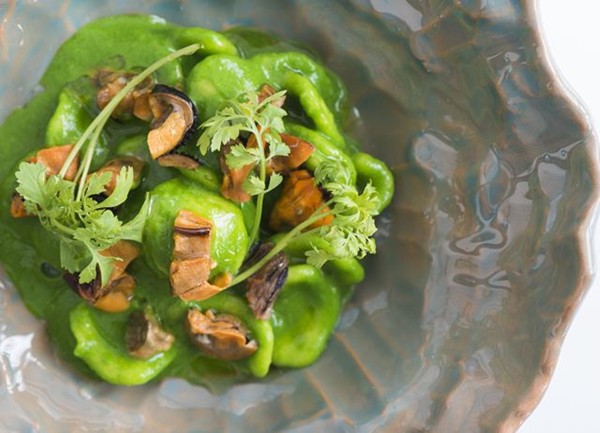 Orecchiette with watercress purée, bergamot and mussels