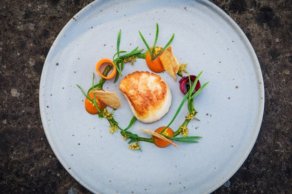 Orkney scallop with fermented carrots, pickled alexanders, rock samphire and chicken skin