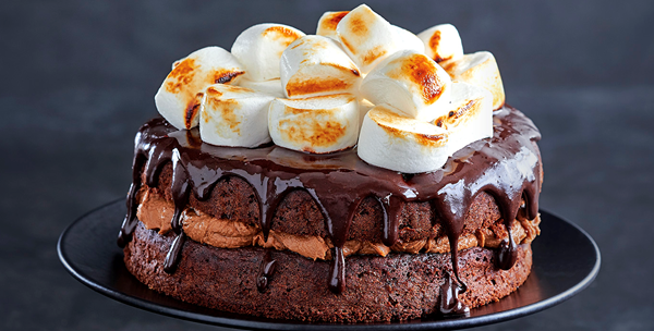 OTT chocolate s'mores cake