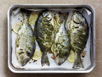 Oven-baked fish with herb dressing and lemon-bean mash
