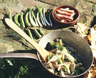 Oyster mushrooms with okra