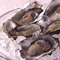Oysters