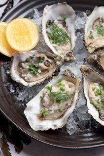Oysters