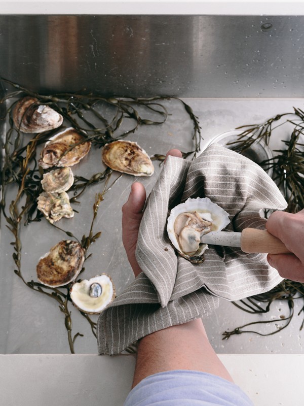 Oysters and mignonette