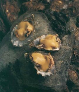 Oysters in Champagne