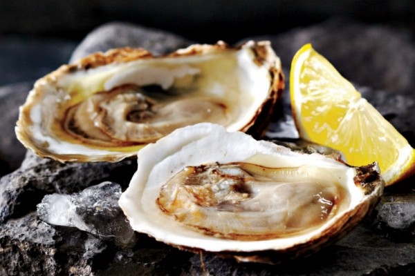 Oysters on the half shell