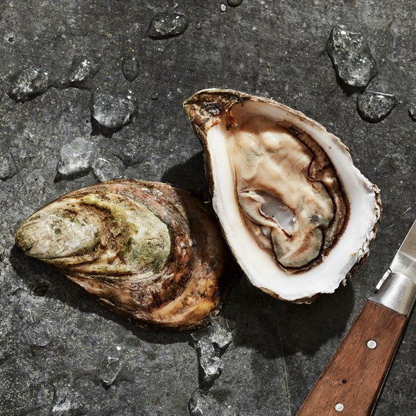 Oysters Rach-a-feller