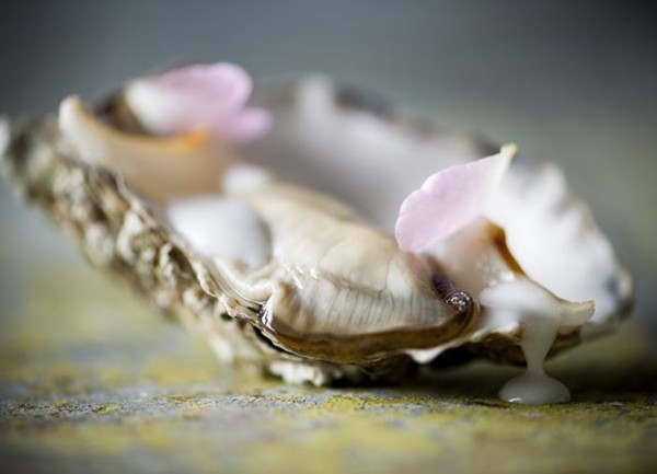Oysters with coconut and lychee