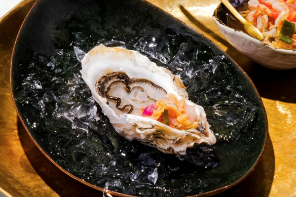 Oysters with pikliz