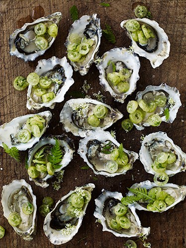 Oysters with sweet cicely and gooseberries