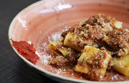 Paccheri with Welsh lamb ragù
