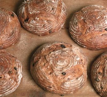 Pain au levain, raisins, et noix