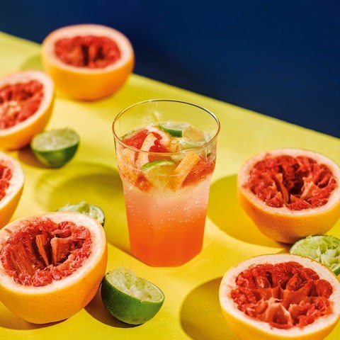 Paloma