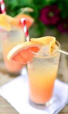 Paloma shrub