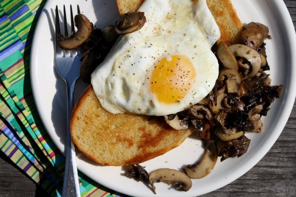 Pan-fried eggs with mixed mushroom sauté on toasted sourdough