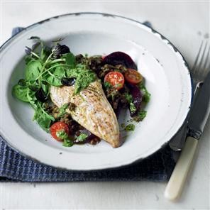 Pan-fried mackerel with pesto, beetroot and lentils