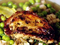 Pan-fried partridge with a delicate pearl barley, pea and lettuce stew