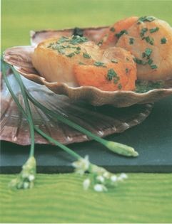 Pan-fried scallops in garlic and chive sauce