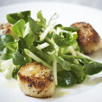 Pan-fried scallops with crunchy apple salad