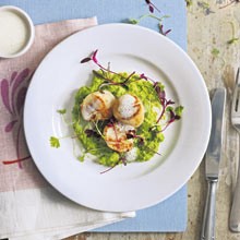 Pan-fried scallops with pea puree, shallot and smoked bacon veloute