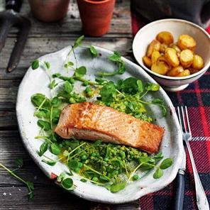 Pan-fried sea trout with watercress, pea shoots and pea & mint sauce