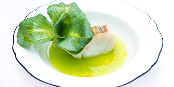 Pan-fried zander with kohlrabi water, caper powder and chicory grumolo