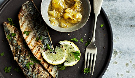 Pan-grilled summer mackerel with green gooseberry sauce