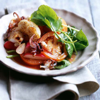 Pan-roasted baby squid with tomato, radish and sorrel salad