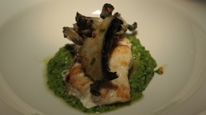 Pan-roasted hapuku fillet with sautéed paua, preserved lemon butter and pea crush