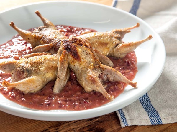 Pan-roasted quail with plum pan sauce