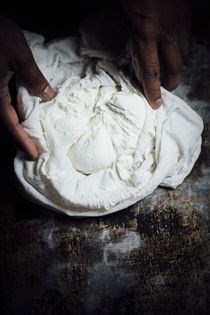 Paneer