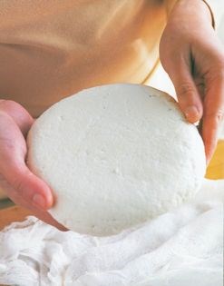 Paneer
