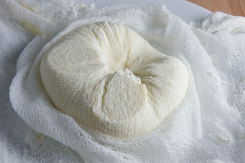 Paneer