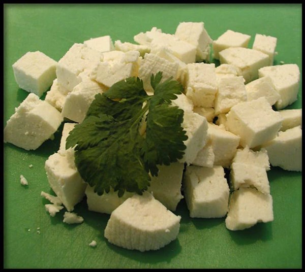 Paneer cheese
