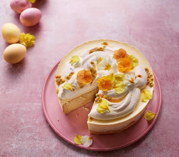 Panna cotta cake