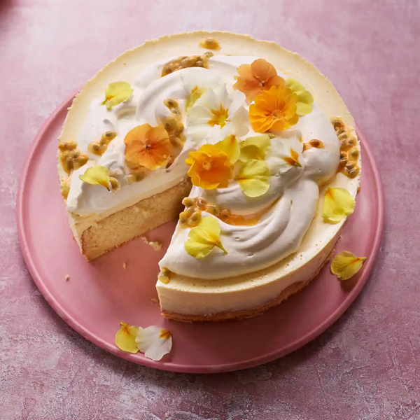 Panna cotta cake
