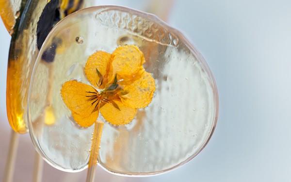 Pansy lollipops