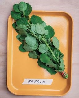 Papalo mojito