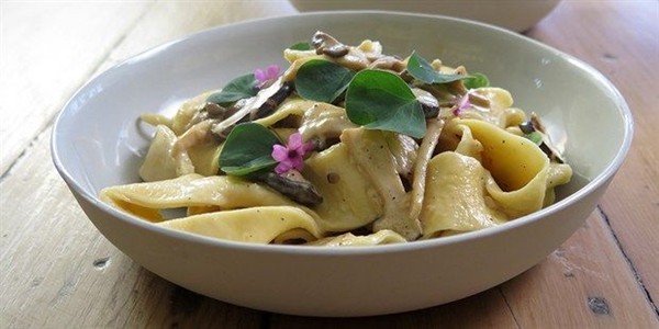 Pappardelle with wild mushrooms