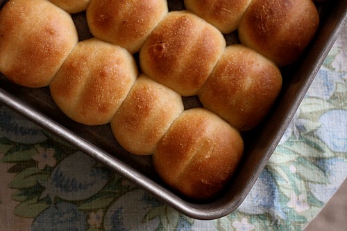 Parker House rolls