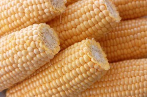 Parmesan-crusted creamed corn