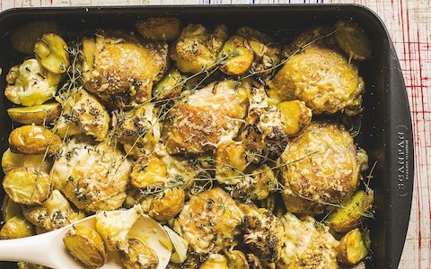 Parmesan roast chicken with cauliflower & thyme