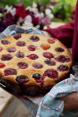 Party plum tart