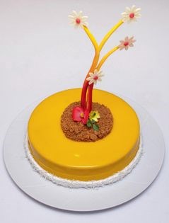Passion chocolatée